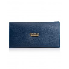 Fostelo Women's Tanya Two Fold Wallet (Blue)